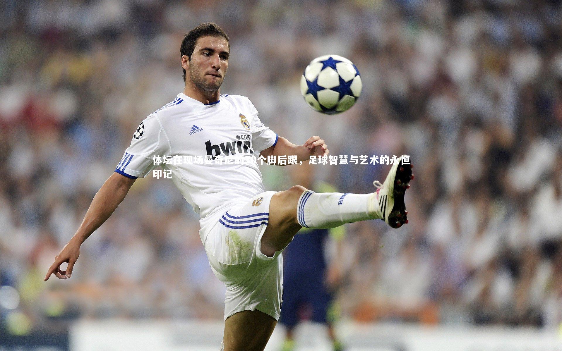 星空体育|体坛在现场曼奇尼的10个脚后跟，足球智慧与艺术的永恒印记