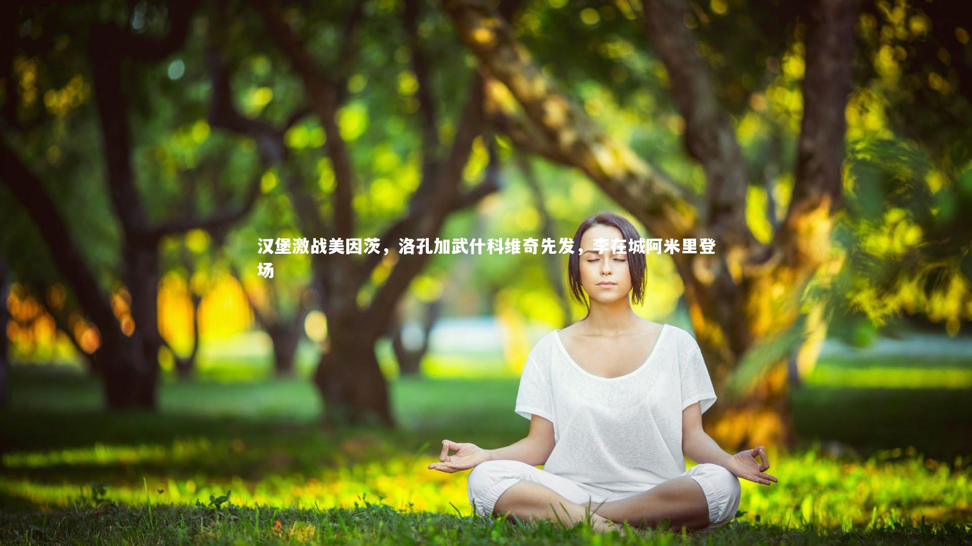 星空体育：汉堡激战美因茨，洛孔加武什科维奇先发，李在城阿米里登场